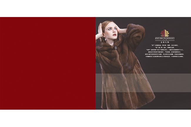 壹加壹文化傳播